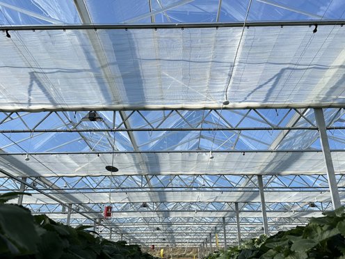tuinbouwkas met groene teelt op de voorzijde en half gesloten schermdoeken op een zonnige dag
