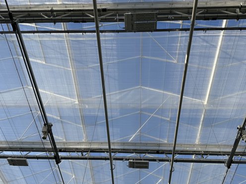 schermdoek voor glazen dek van tuinbouwkas 