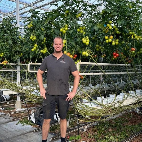 trotse jongeman met de handen in de zij in een tomatenkas met mooie grote tomaten