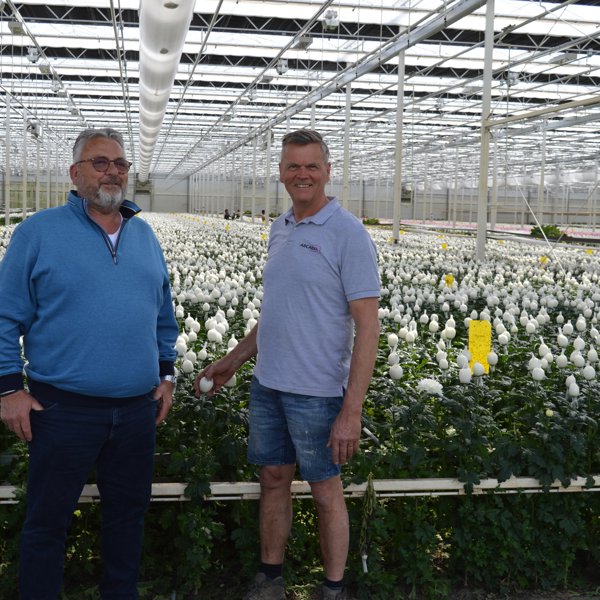 two men in a greenhouse with white flowers