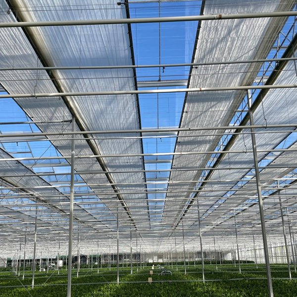 greenhouse with cultivation and semi-open screens