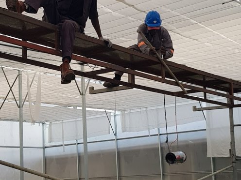 twee mannen hoog in een kas aan het werk
