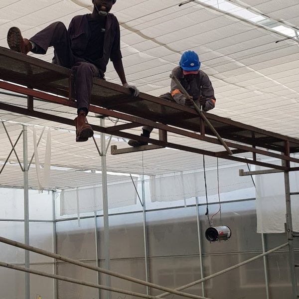 twee mannen hoog in een kas aan het werk