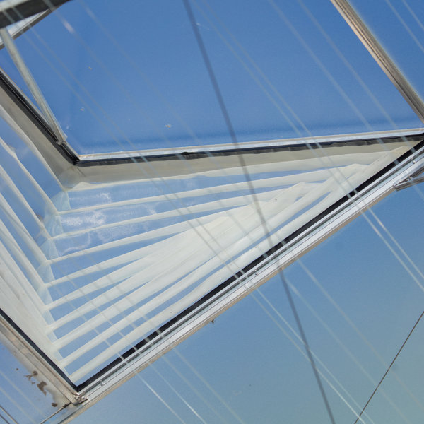 windows with insect netting in a greenhouse