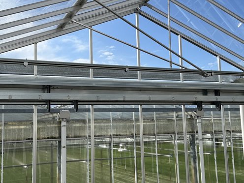 deel van een nok van een kas met uitzicht op groen teelt op een zonnige dag