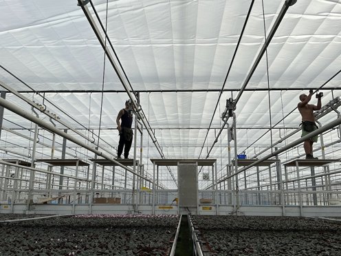 twee mannen in een kas aan het werk aan het schermdoek 