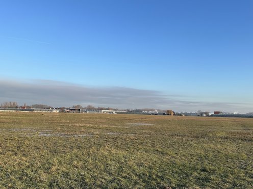 groot grasveld met in de verte kassen op een zonnige dag