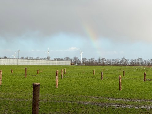 heipalen in een veld met erachter kas en windmolens en regenboog