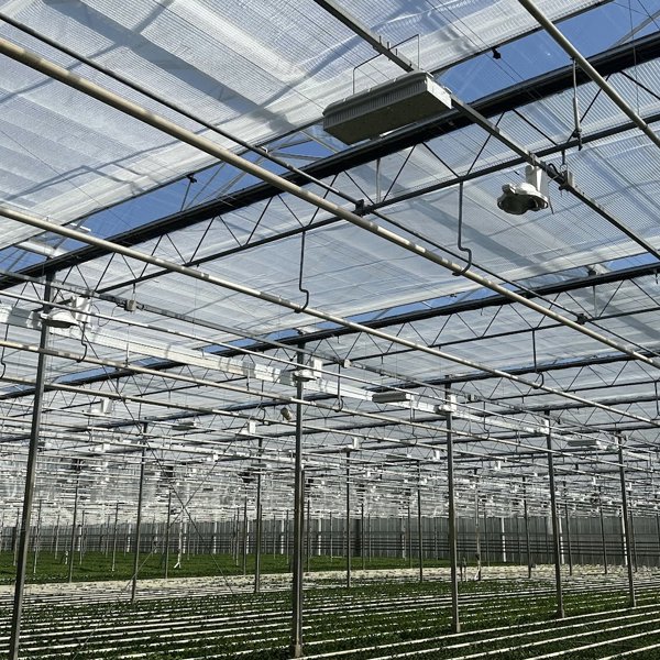 groen gewas in een tuinbouwkas met half gesloten schermdoeken op een zonnige dag