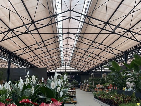 schermen en rode en witte bloemen in een tuincentrum