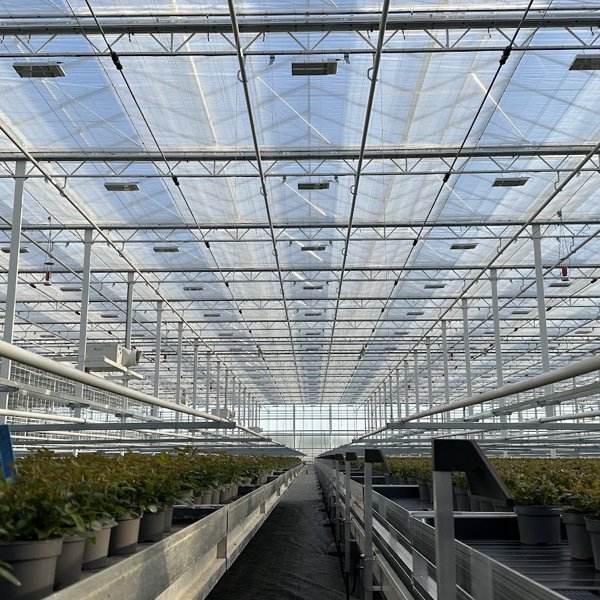 pad met links en rechts planten op tafels in een kas