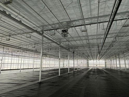 schermdoeken in de nok van een kas in aanbouw