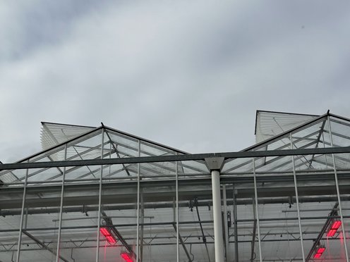 stuk van gevel en dak van tuinbouwkas met open ramen en insectengaas ervoor en assimilatielampen aan 