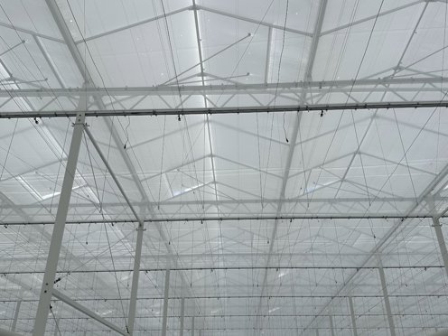 kasdek met dichte schermen van binnen en onderaf gezien in een nieuwe tuinbouwkas