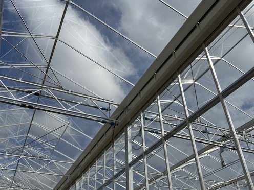 staal en glazen dakconstructie van een kas op een zonnige dag