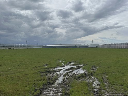 drassige grond na regenbui met aan beide zijden kassen 