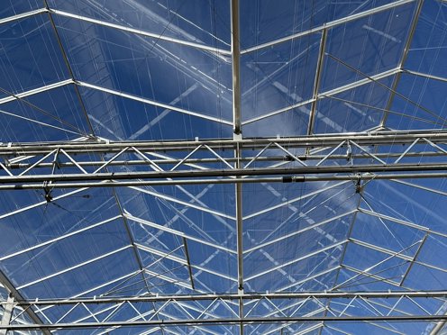 glasdek van een tuinbouwkas van binnenuit met strakblauwe lucht 