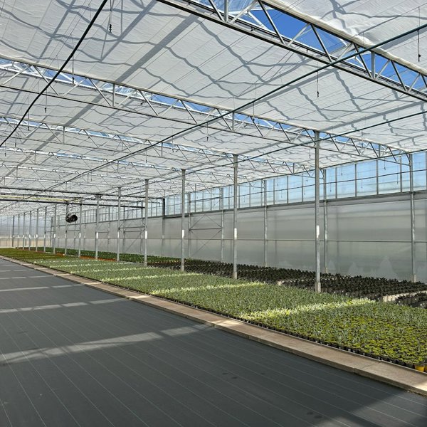 tuinbouwkas met groene planten