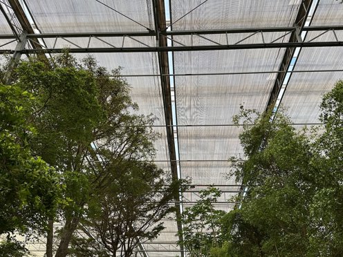 schermdoeken in de nok van een kas vol groene planten