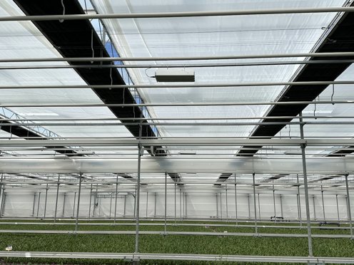 groen gewas in een tuinbouwkas met gesloten schermdoeken op een zonnige dag