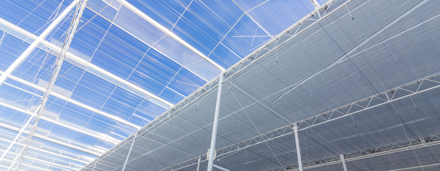 greenhouse in blue sky and half open screens 