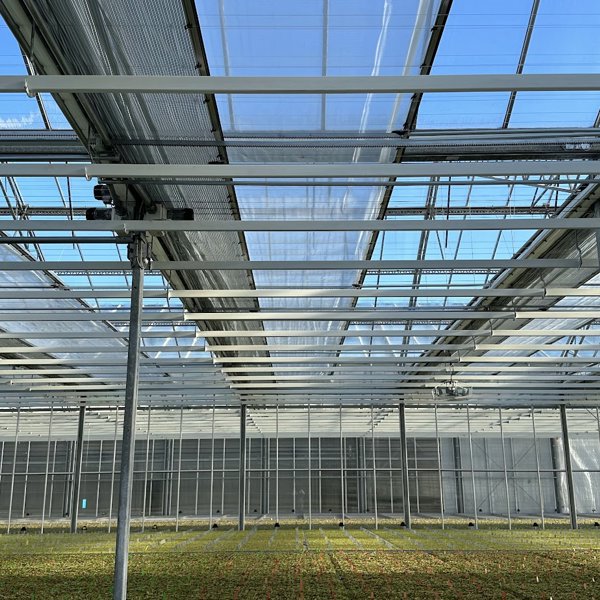 groen gewas in een tuinbouwkas met half gesloten schermdoeken op een zonnige dag