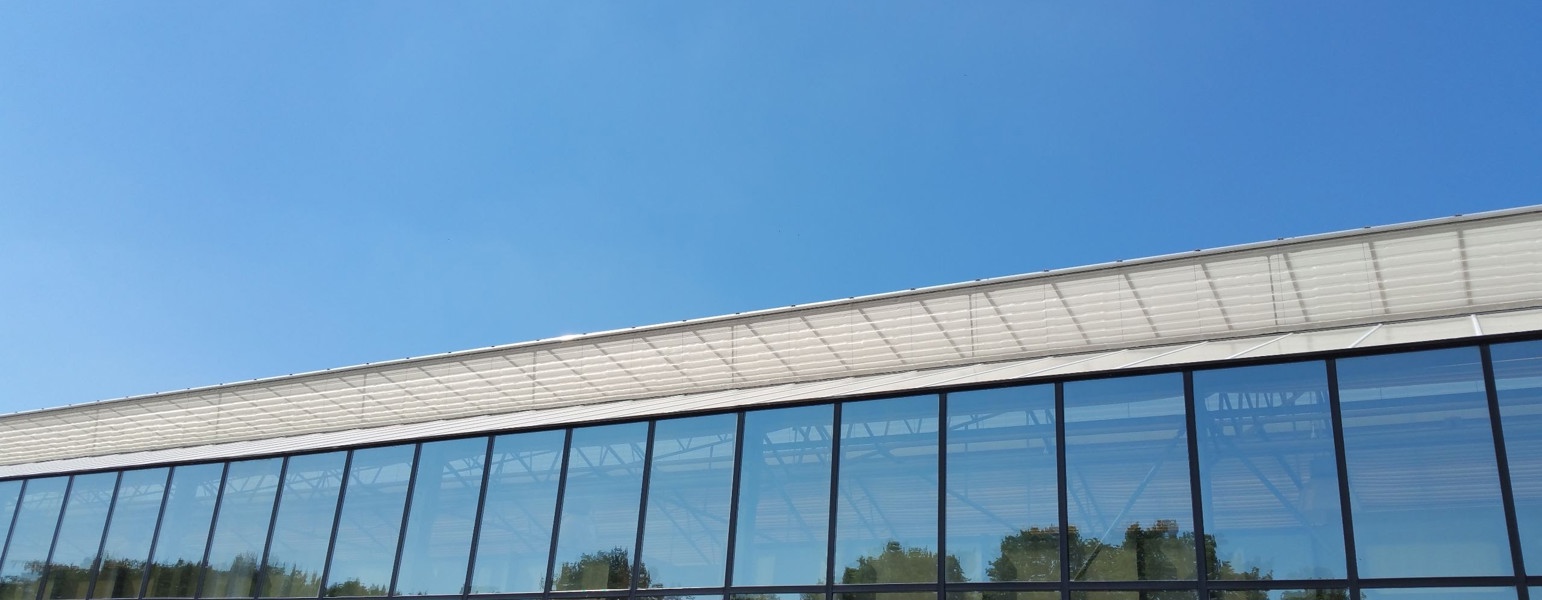 glazen bedrijf en blauwe lucht met bomen erin gespiegeld 