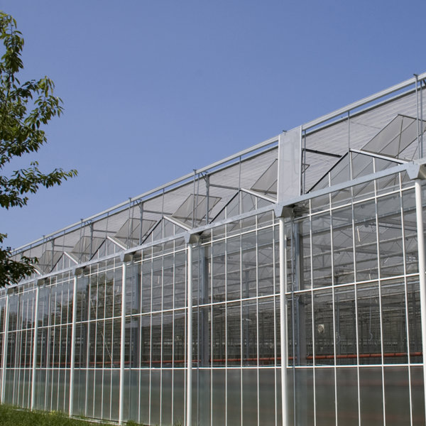 greenhouse in the sun with outdoor screens on roof and tree in foreground