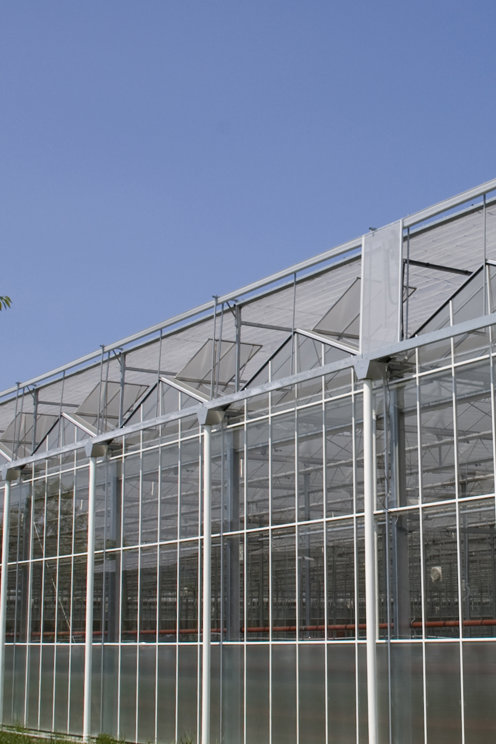 kas in de zon met buitenschermen op het dak en boom op voorgrond