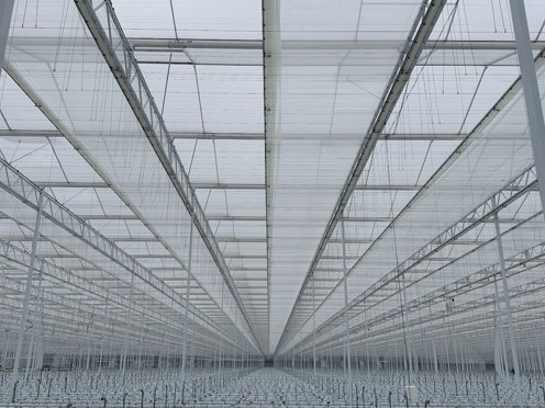 strakke net opgeleverde kas zonder teelt met de schermdoeken dicht