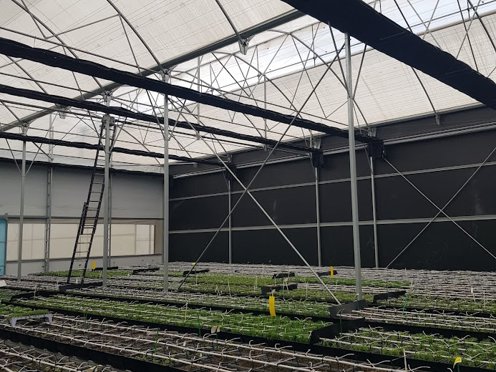 kas met teelt en schermen en een ladder naar de nok