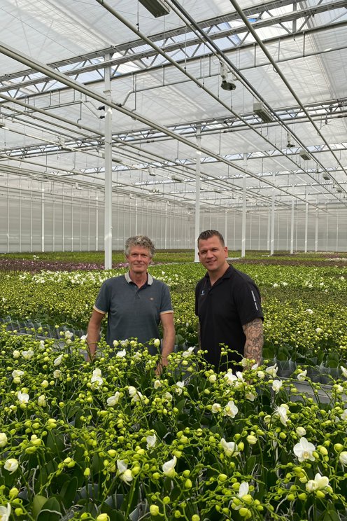 twee blij kijkende mannen tussen de witte orchideeën in een kas
