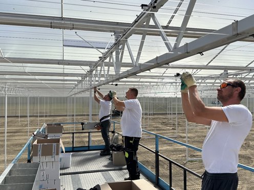 drie mannen met witte shirts zijn geconcentreerd aan het werk voor de installatie van schermdoeken in een zonnige kas